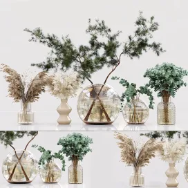 Collection indoor plants